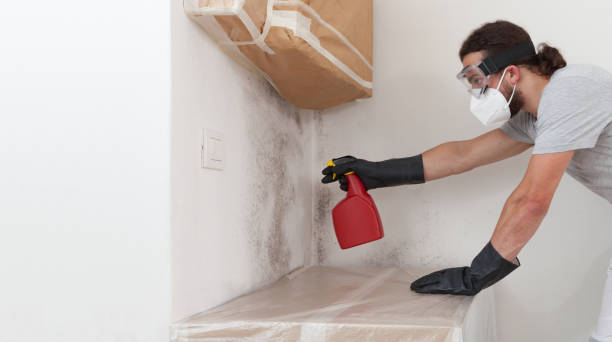 Professional Mold Cleanup technician working in Millburn, NJ