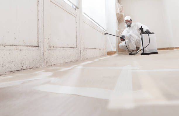 24/7 Emergency Mold Cleanup experts in Millburn, NJ