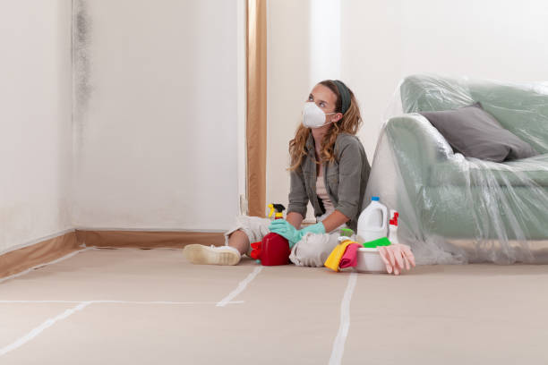Reliable Mold Cleanup contractor in Millburn, NJ by WQB Mold Removal